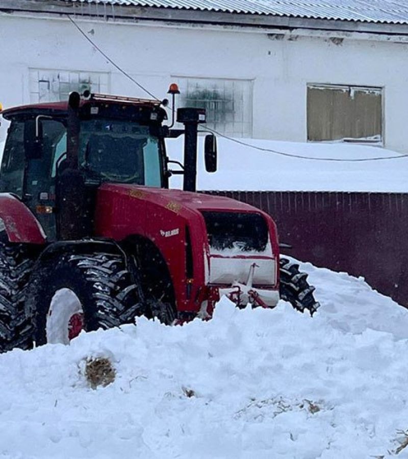 photo 2026-01-18 12-37-17